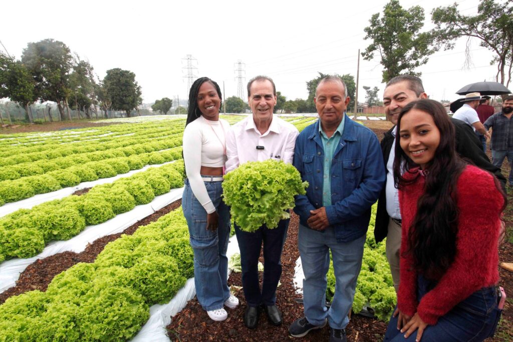 Um grupo de pessoas posa num cultivo de alfaces ao ar livre, com o homem ao centro a segurar uma alface grande e fresca.