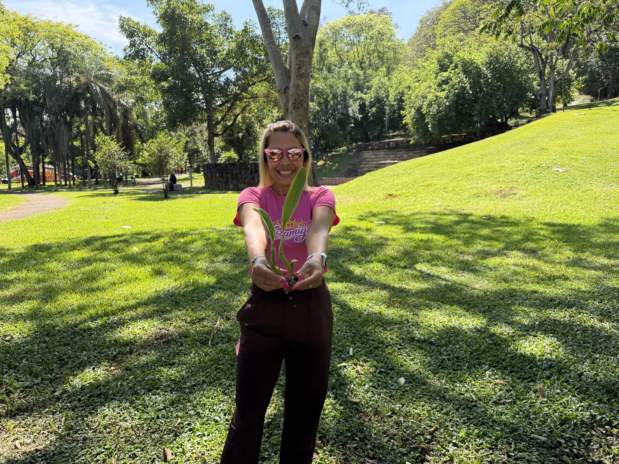 Outubro Rosa: Parque da Rua do Porto recebe plantio de orquídeas