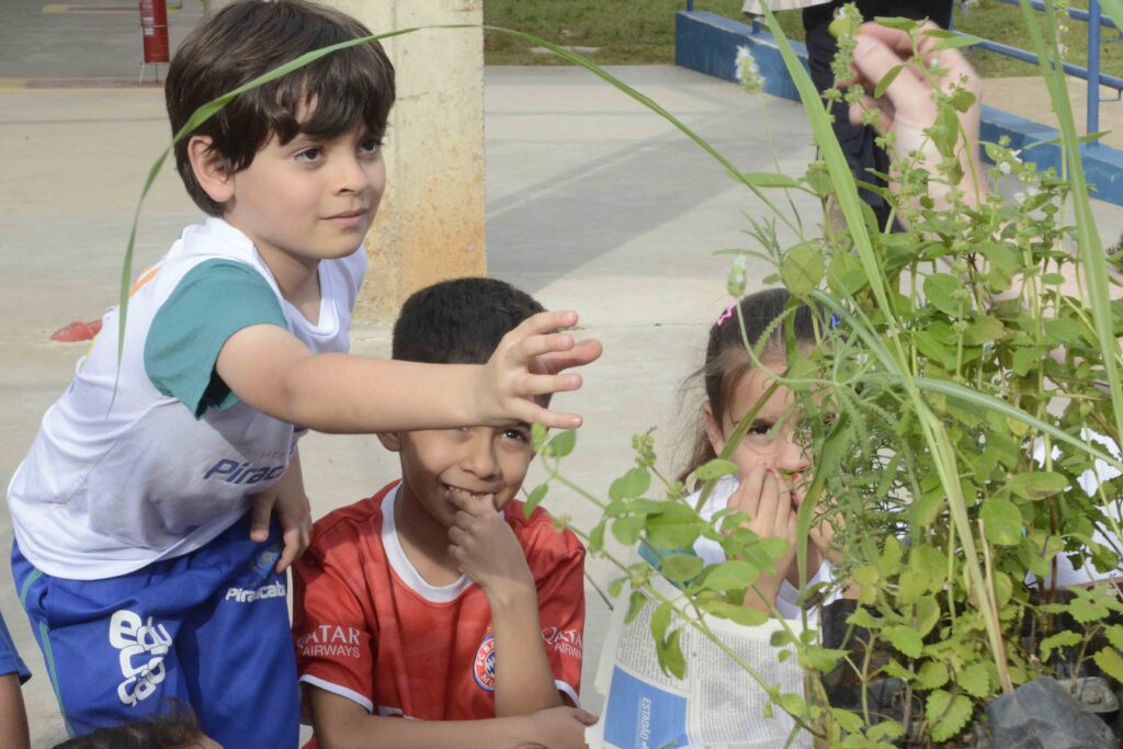 O aluno Joaquim Martins estende a mão para tocar e observar de perto as folhas e hortaliças, acompanhado por outros colegas que observam o aroma e a textura das plantas.
