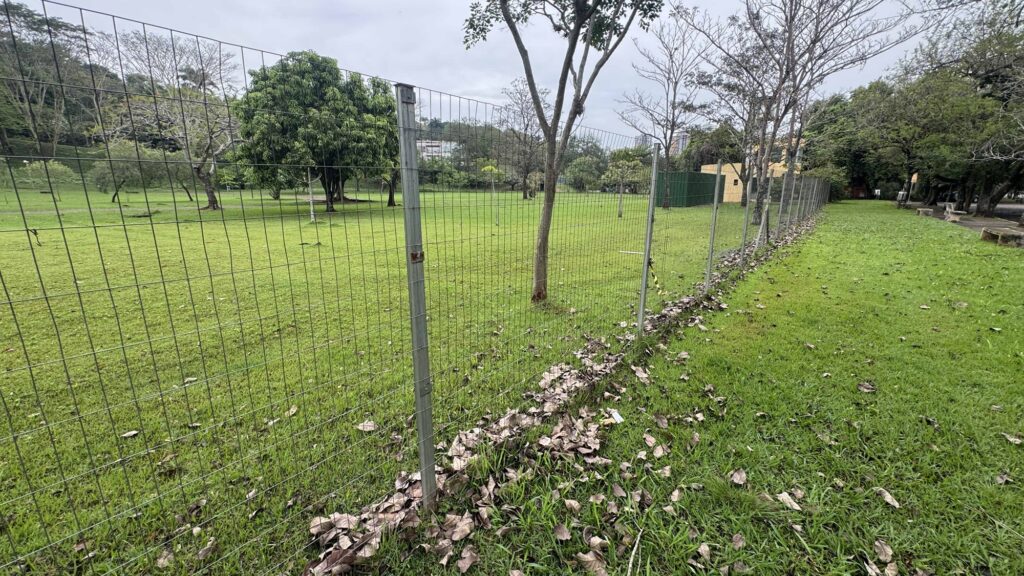Detalhe de uma vedação metálica verde a delimitar a área relvada e as árvores de um parque.
