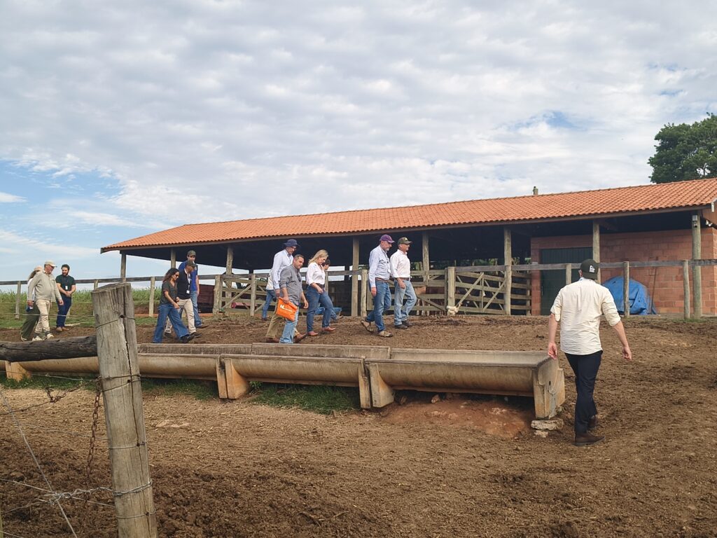 Um grupo de pessoas caminha por uma área rural próxima de comedouros para gado, em frente a uma grande estrutura coberta com telhado de telhas cerâmicas e cercas de madeira.